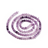 Natural Lepidolite/Purple Mica Stone Beads Strands G-C009-A04-3