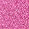8/0 Glass Seed Beads X-SEED-A015-3mm-2217-2
