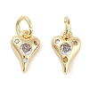 Brass Micro Pave Cubic Zirconia Charms KK-C051-06G-01-1
