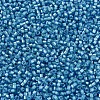 MIYUKI Delica Beads SEED-X0054-DB1709-3