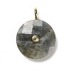 Natural Labradorite Faceted Pendants G-A287-02G-02-1