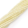 Electroplate Glass Beads Strands EGLA-F149-FR-06-2