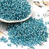 Glass Seed Beads X1-SEED-S042-04A-13-1