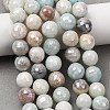 Electroplated Natural Flower Amazonite Beads Strands G-B191-A03-10mm-1