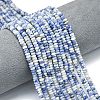 Natural Blue Spot Jasper Beads Strands G-P575-A43-4x2mm-1