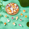30Pcs 6 Styles Mushroom Series Resin Display Decorations DJEW-TA0001-21-5