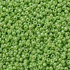 MIYUKI Round Rocailles Beads X-SEED-G007-RR0479-3