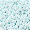 6/0 Glass Seed Beads SEED-M012-01A-13-3