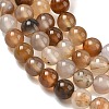 Dyed Natural Agate Round Beads Strands G-E321B-8mm-01-5