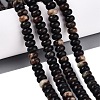 Natural Biotite Beads Strands G-N367-02A-15-1