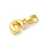 Rack Plating Brass Charms KK-C053-04G-G-2