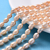 Natural Cultured Freshwater Pearl Beads Strands PEAR-N012-07G-1
