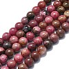 Natural Rhodonite Beads Strands G-K245-A11-04-1