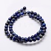 Natural Lapis Lazuli Beads Strands G-A163-07-10mm-2