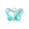 Transparent Glass Charms PALLOY-JF01734-2