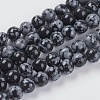 Natural Snowflake Obsidian Beads Strands G-G515-6mm-01-1