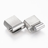 Tarnish Resistant 304 Stainless Steel Magnetic Clasps with Glue-in Ends STAS-F131-05P-2