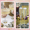 DIY Wine Glass Charms Making Kits DIY-CN0003-51-5