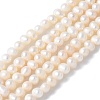 Natural Cultured Freshwater Pearl Beads Strands PEAR-I007-07L-06-2