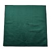 Velvet Silver Polishing Cloth for Jewelry AJEW-R006-02D-1
