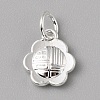 Brass Charms FIND-WH0159-63S-17-1