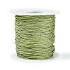 100M Segment Dyed Round Polyester Braided Cords OCOR-N009-03B-06-1