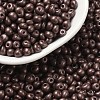 6/0 Glass Seed Beads SEED-L011-08A-08-1