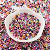 Baking Paint Glass Seed Beads X-SEED-S042-05B-48-2