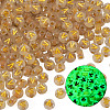 50G Luminous Transparent Acrylic Beads OACR-TAD0001-01V-3