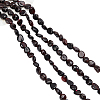  2 Strands Natural Garnet Beads Strands G-NB0004-26-1