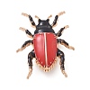 Beetle Enamel Pins JEWB-E041-14KCG-02-1
