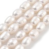Natural Cultured Freshwater Pearl Beads Strands PEAR-P062-08H-1