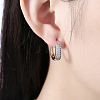 Brass Cubic Zirconia Hoop Earrings EJEW-BB33887-7