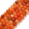 Natural Agate Beads Strands G-B079-A04-03C-2