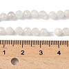 Natural Moonstone Beads Strands X-G-C201-B06-4mm-5