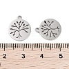 316 Surgical Stainless Steel Charms STAS-C096-11A-P-3