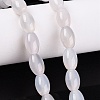 Natural Agate Beads Strands G-N362-18A-10-1