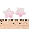 Imitation Candy Food Style Resin Cabochons X1-RESI-R461-02K-3