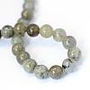 Natural Labradorite Round Bead Strands G-E334-10mm-19-3