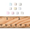 100Pcs 10 Styles 2-Hole Glass Seed Beads SEED-FS0001-45-5
