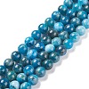 Natural Apatite Beads Strands LS-G-F617-01-8mm-1