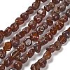 Natural Garnet Beads Strands G-P497-01E-70-1