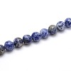 Natural Blue Spot Jasper Round Beads Strands G-O047-01-10mm-1