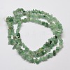 Natural Green Aventurine Chip Bead Strands X-G-L444-03-2