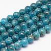 Natural Apatite Bead Strands G-P204-09-6mm-1