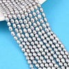 Natural Cultured Freshwater Pearl Beads Strands PEAR-F020-06-1