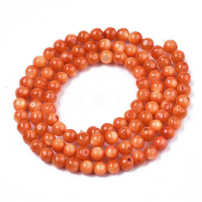 Natural Freshwater Shell Beads Strands X-SHEL-N003-24-B06-1