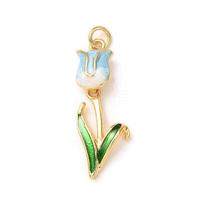 Brass with Enamel Pendants KK-CBA2F11-06G-03-1