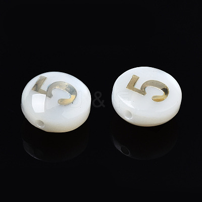 Natural Freshwater Shell Beads SHEL-N003-20-05-1