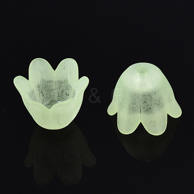 Transparent Acrylic Bead Caps FACR-N005-002B-1